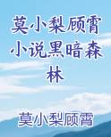 莫小梨顾霄小说黑暗森林